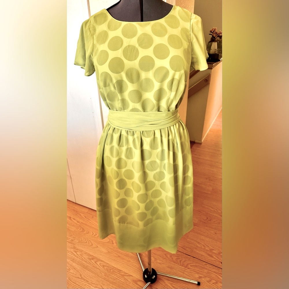 Sara Campbell Black Polka Dot Under Sheer Lime Green Fit & Flare Dress Sz 10